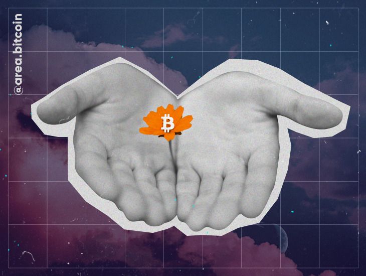UC 37 Artigos Bitcoin vai salvar uma gera o