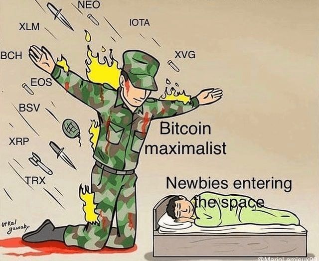 Uma imagem (meme) sobre como Maximalistas protegem novatos ao entrar no Bitcoin