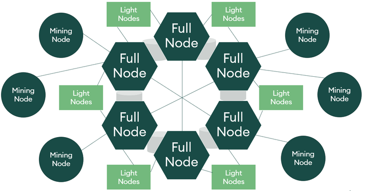 Full Node, Light Nodes, Mining Nodes (todos conectados)