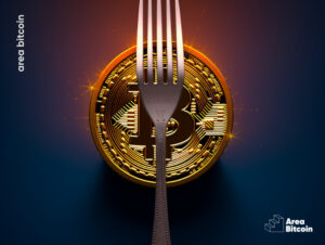 Soft fork e Hard fork Bitcoin