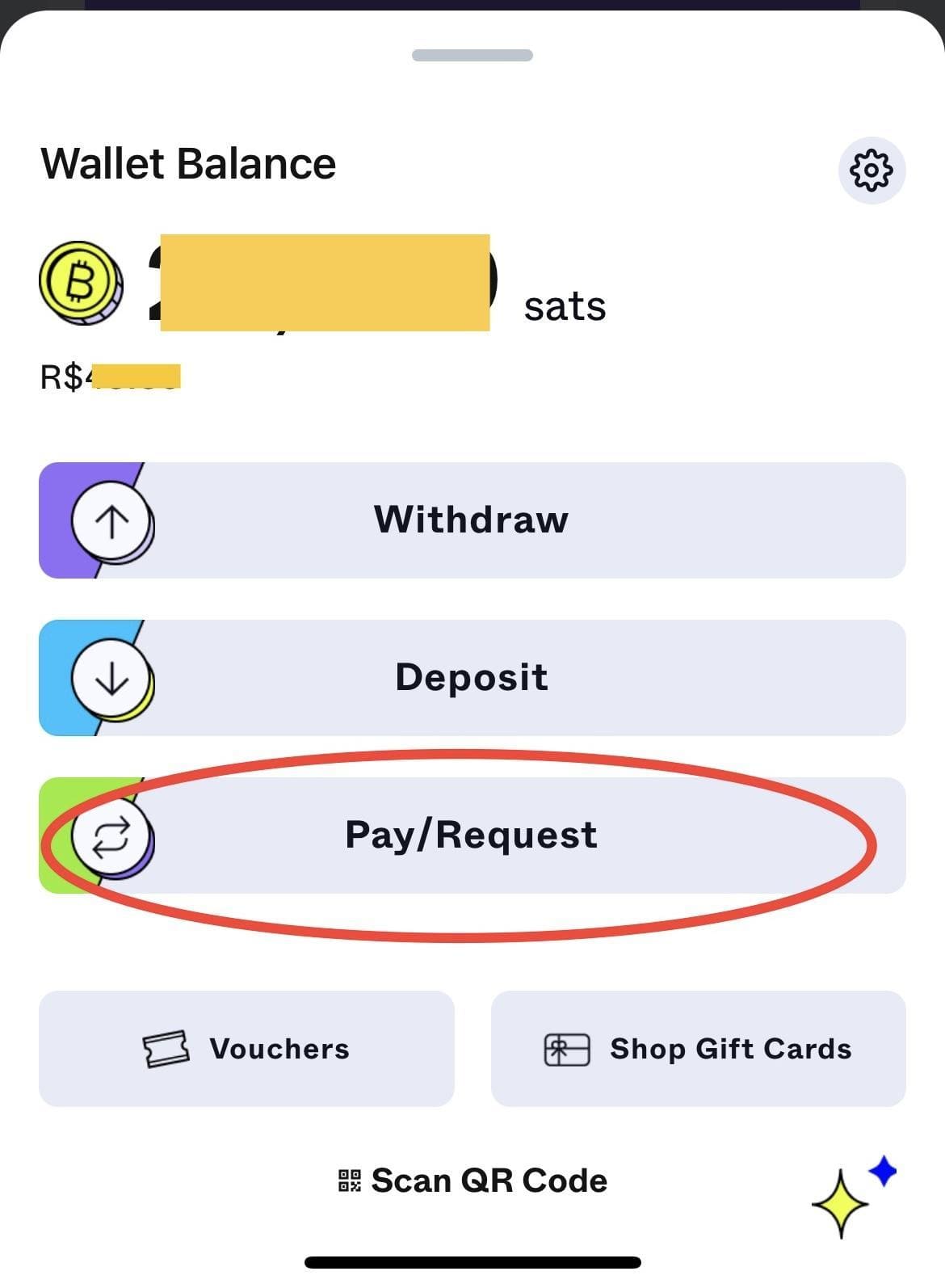 Clique em "pay/request", em sua carteira Zebedee