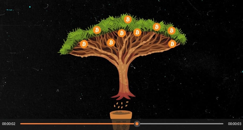Imagem figurativa de seeds no Bitcoin