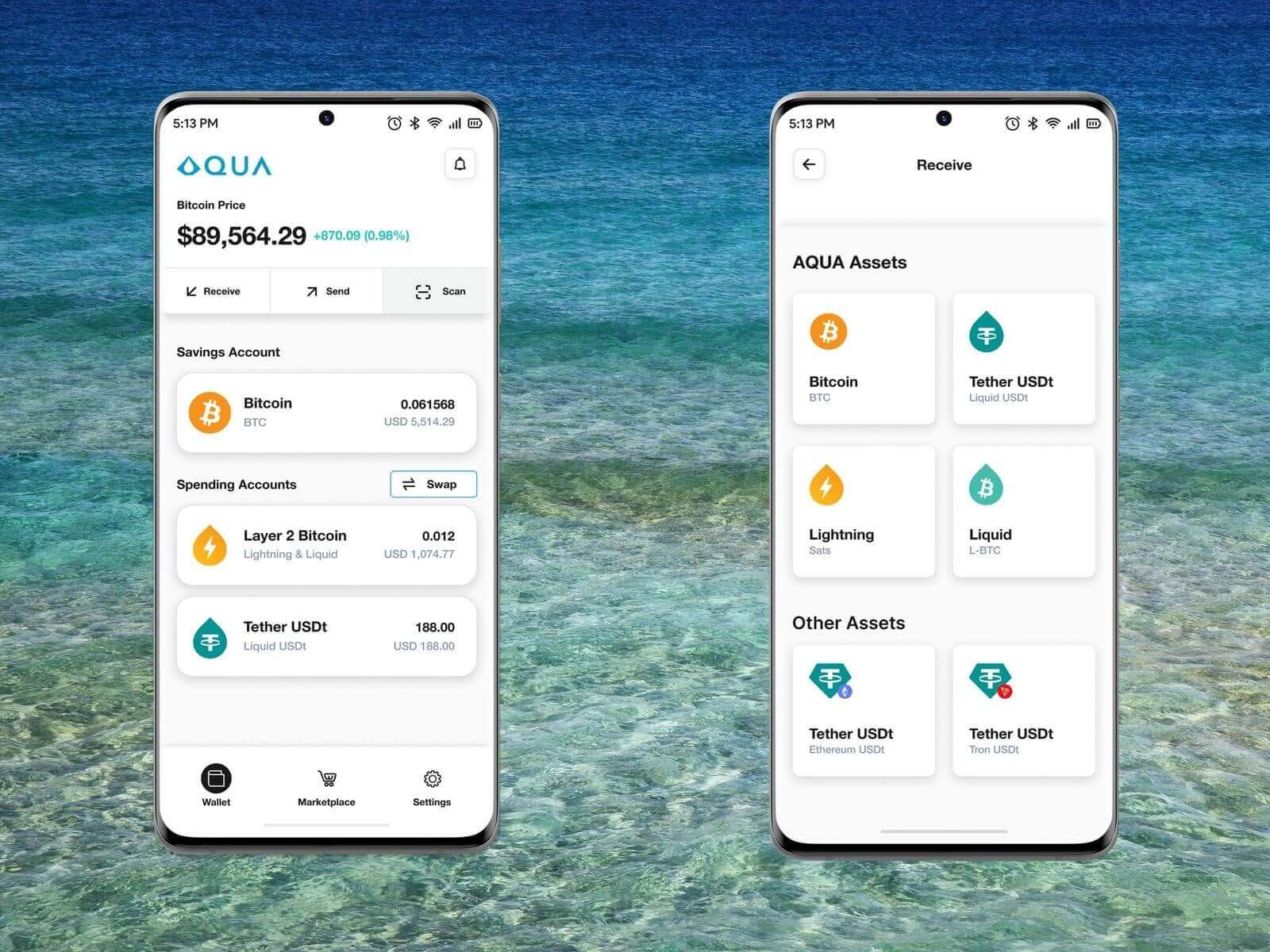 Interface da carteira Aqua no celular