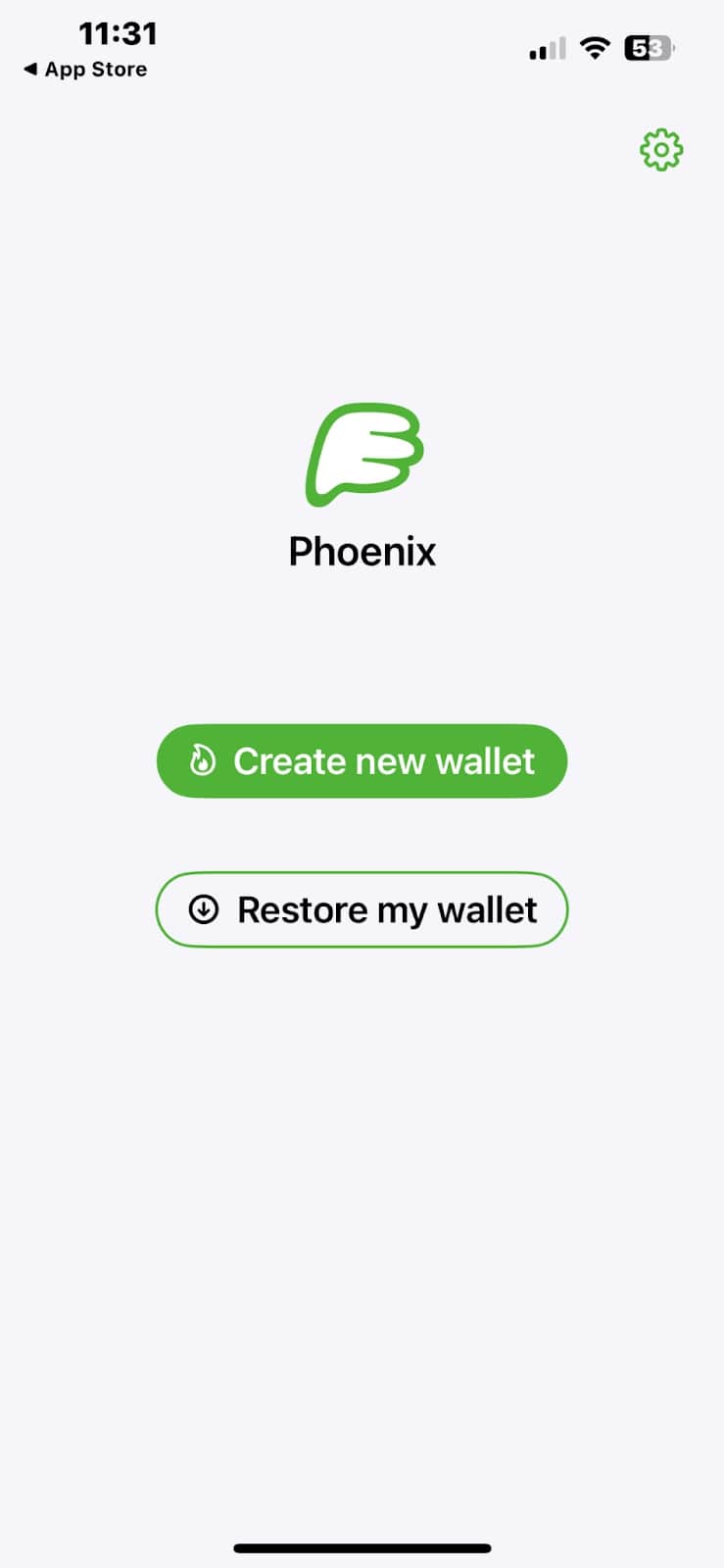 Tela inicial do app da Phoenix Wallet